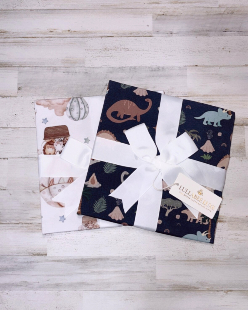 Dinasour Swaddle Blanket
