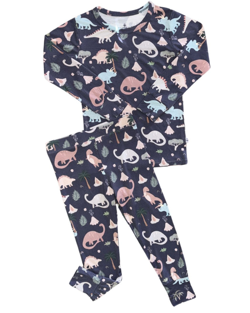Boys Long Sleeve Pajama Set Dino Dreams