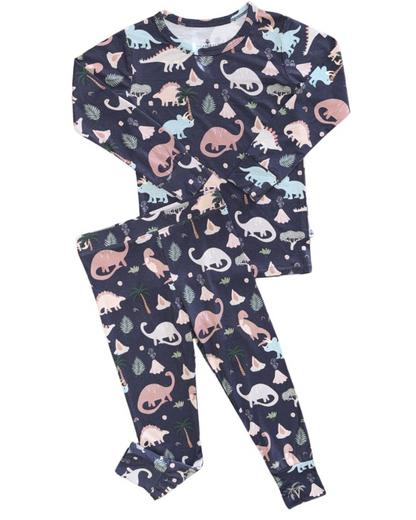 Boys Long Sleeve Pajama Set Dino Dreams