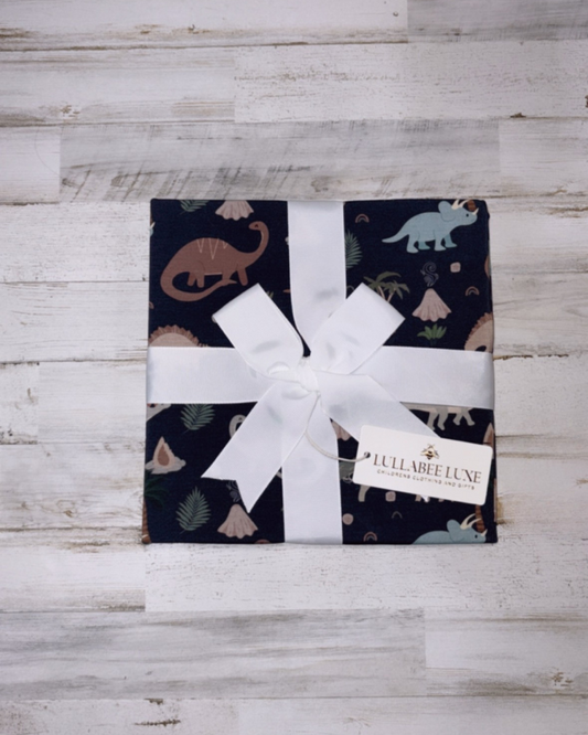Dinasour Swaddle Blanket