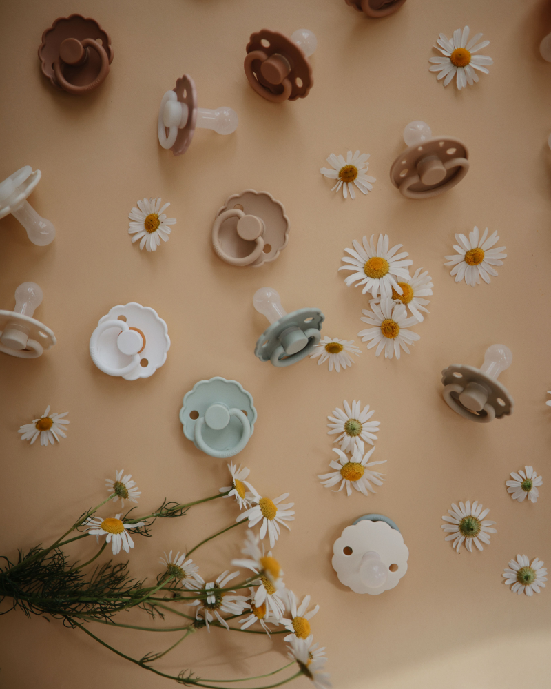 Daisy Night Natural Rubber Pacifier (Blush/Cream)
